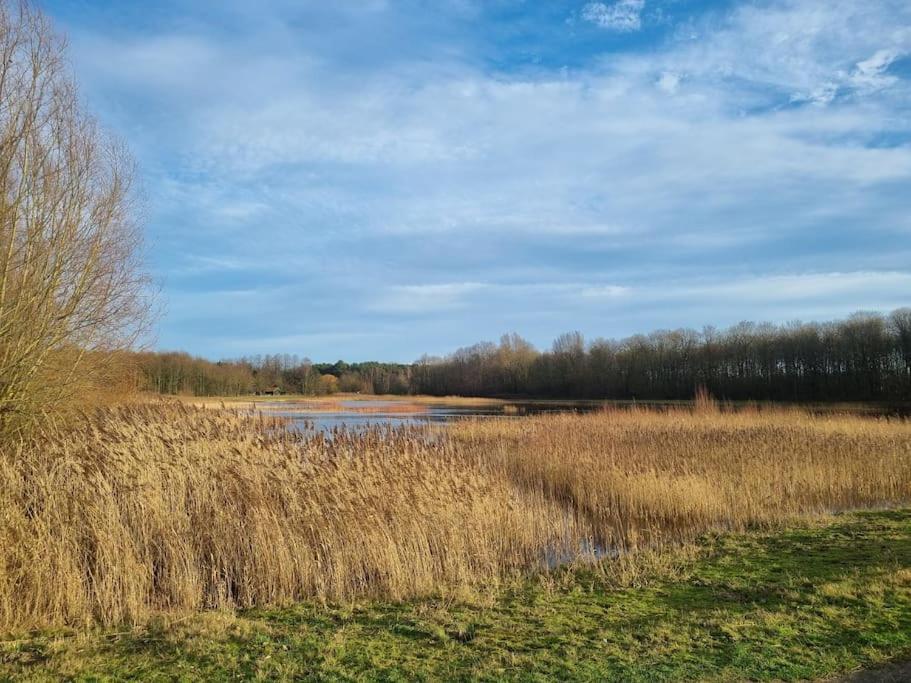 Luxe-Avontuur In Een Romantische Cabin In Het Bos Stekene Ngoại thất bức ảnh